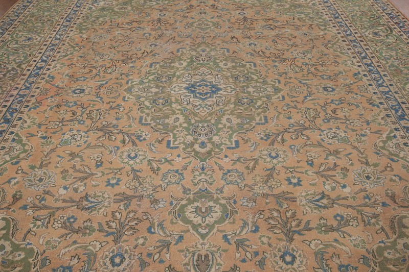 Orange Traditional Vintage Area Rug 10x13 Handmade Wool Floral for Living Room gallery