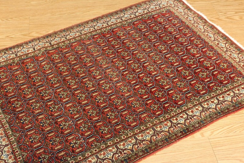 ANTIQUE Late 19th Century Senneh Rug Authentic Tribal Carpet 3'5" x 5' Orange gallery