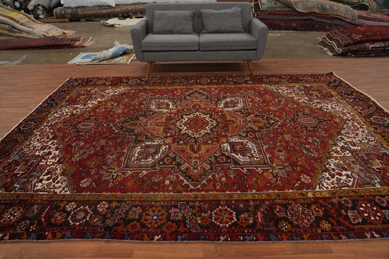 Vintage Wool Traditional Style Area Rug 8x11 ft Hand-knotted Living Room Carpet gallery