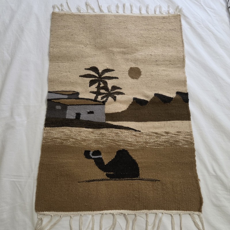 Egyptian Handwoven Camel Wool Kilim Folk Art Tapestry Fringed Rug 31” X 20" gallery