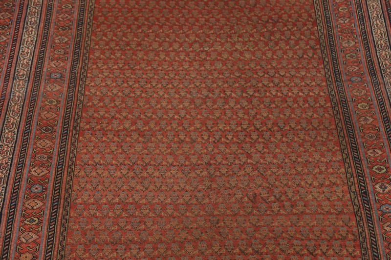 Pre-1900 Antique Malayer Vegetable Dye Hand-knotted Runner Rug 6' 4" x 16' 3" gallery