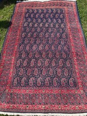 Hand Knotte blue Genuine paisley Qumm Oriental Area Rug Carpet 5×7 ft”