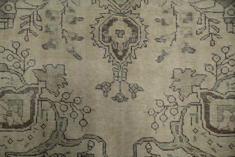 Elegant Ornate Classic Area Rug 7x10 for Traditional Living Spaces Muted Carpet gallery