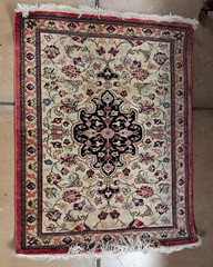 Vintage (possibly Wool/Silk) Blend Rug with Fringing