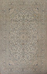 Traditional Muted Area Rug 9×13 Hand-knotted Wool Floral Vintage for Living Room