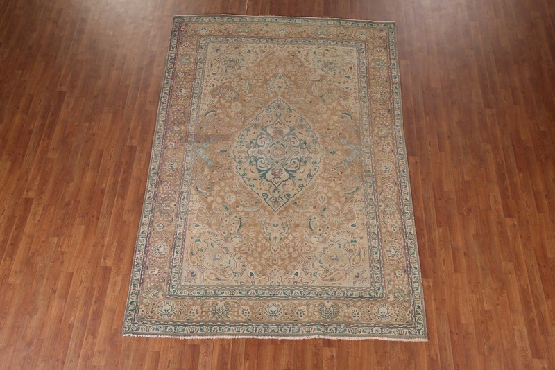 Light Brown Wool Area Rug 7x10 Hand-knotted Traditional Living Room Carpet gallery