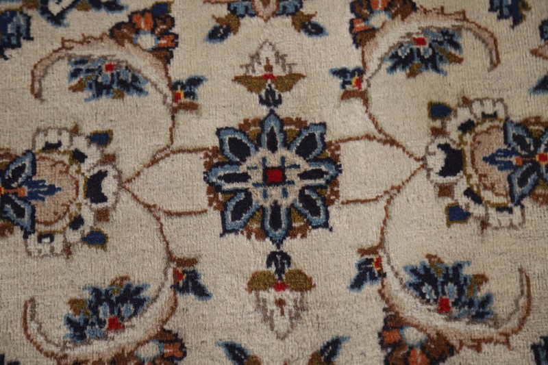 Mid 20th Century Floral Traditional Area Rug 8x12 Hand-knotted Wool Carpet gallery