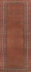 Pre-1900 Antique Malayer Vegetable Dye Hand-knotted Runner Rug 6′ 4″ x 16′ 3″