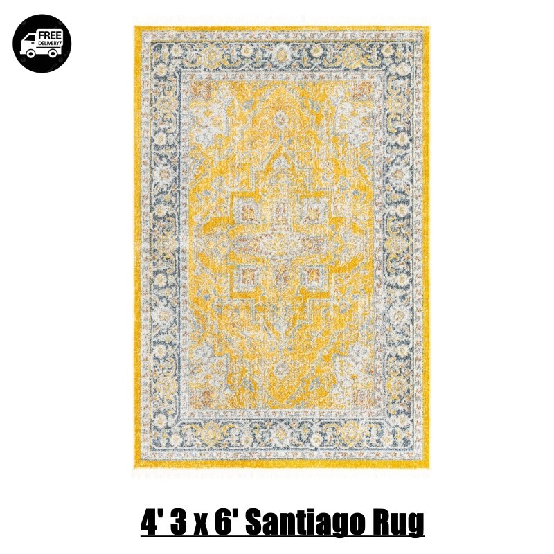 4' 3 x 6' Santiago Rug