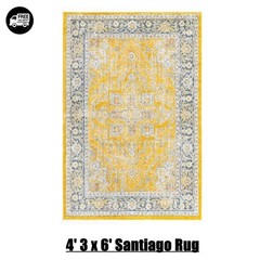 4′ 3 x 6′ Santiago Rug