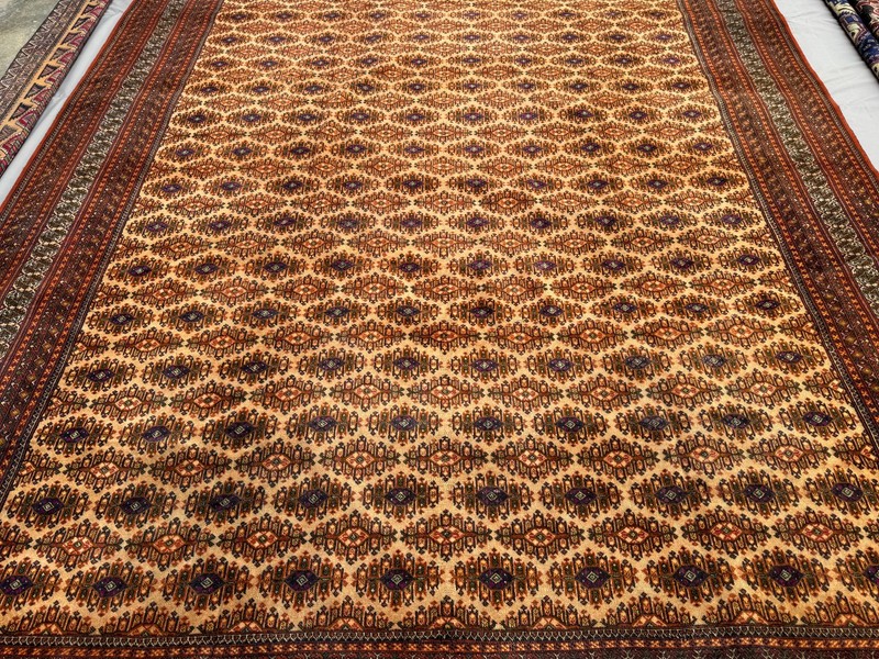 Fine Hand Knotted Afghan Sarooq Rug 10x13 Antique Persian Style Oriental Carpet gallery