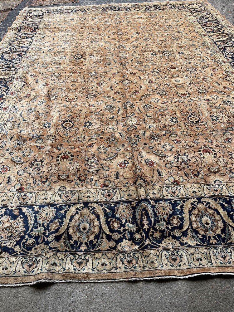 11x16 Magnificent Palace size Oriental Area Rug Beige