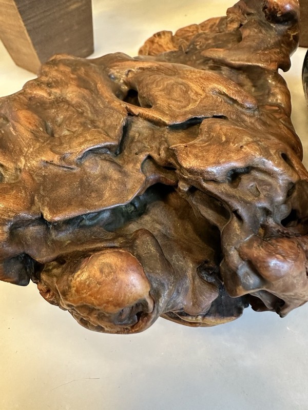Beautiful Vintage Natural Burl Wood Sculpture 9"x5.5"x2" gallery