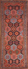 Vegetable Dye Wool Bakhtiari Runner Vintage Rug 3×10 Traditional Hand-made Rug