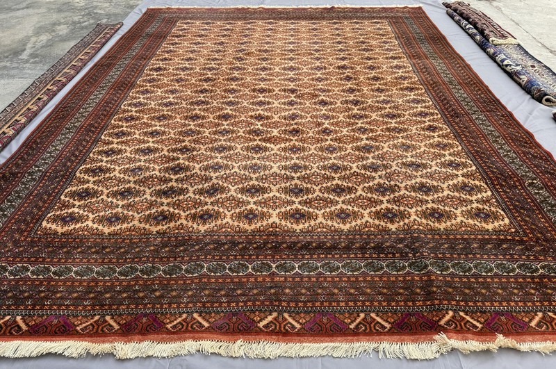 Fine Hand Knotted Afghan Sarooq Rug 10x13 Antique Persian Style Oriental Carpet gallery